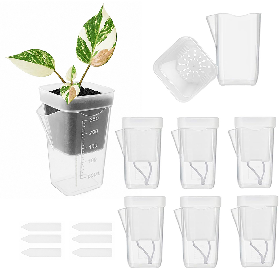 Gardening Tools Kit For Home Garden - 12/24PCS Self Watering Succulent Plant Pot