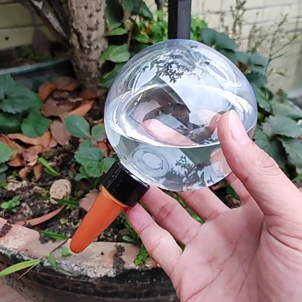 500ML Self Watering Globes Dri - Automatic Plant Waterer review and price