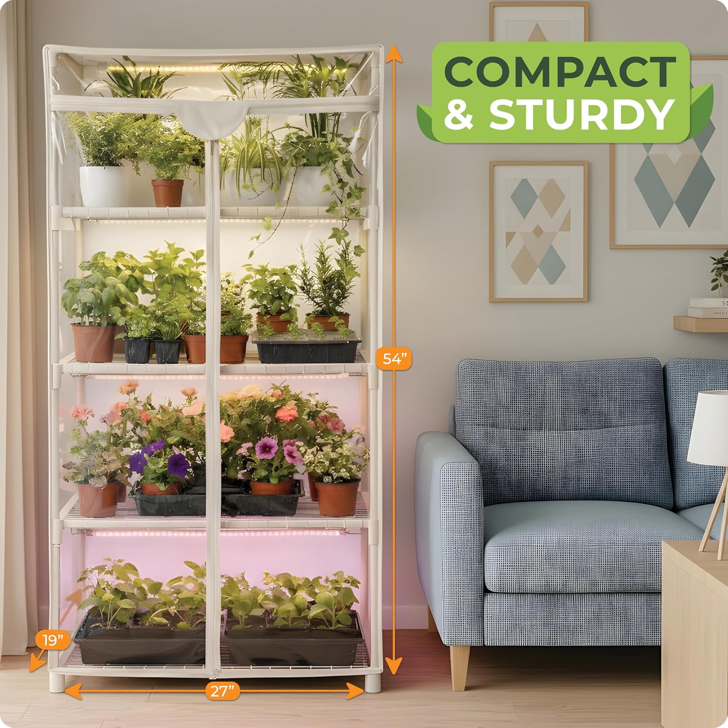 Indoor Plant Growing Mini Gree - Greenhouse Mini Indoor review and price