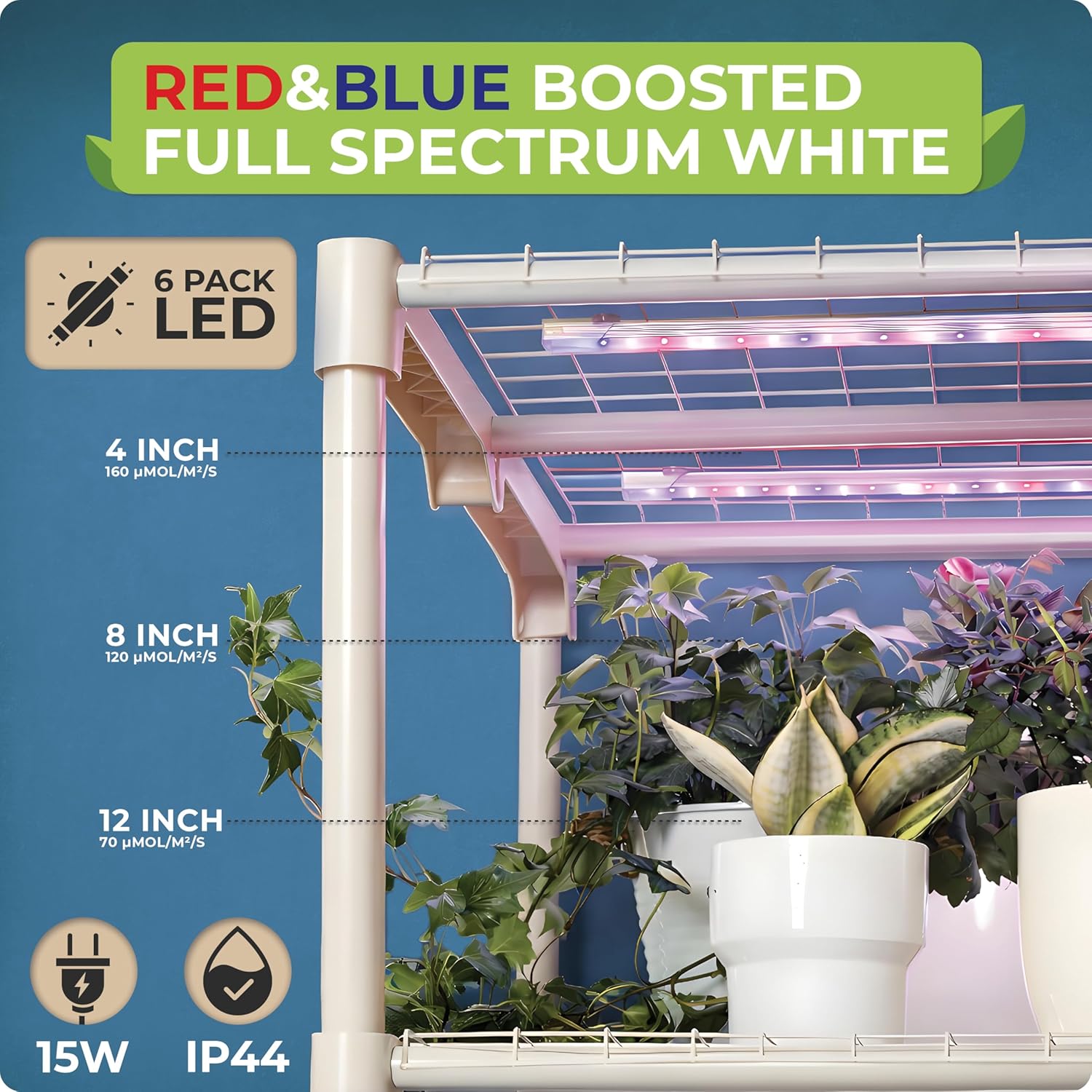 Indoor Plant Growing Mini Gree - Greenhouse Mini Indoor review and price