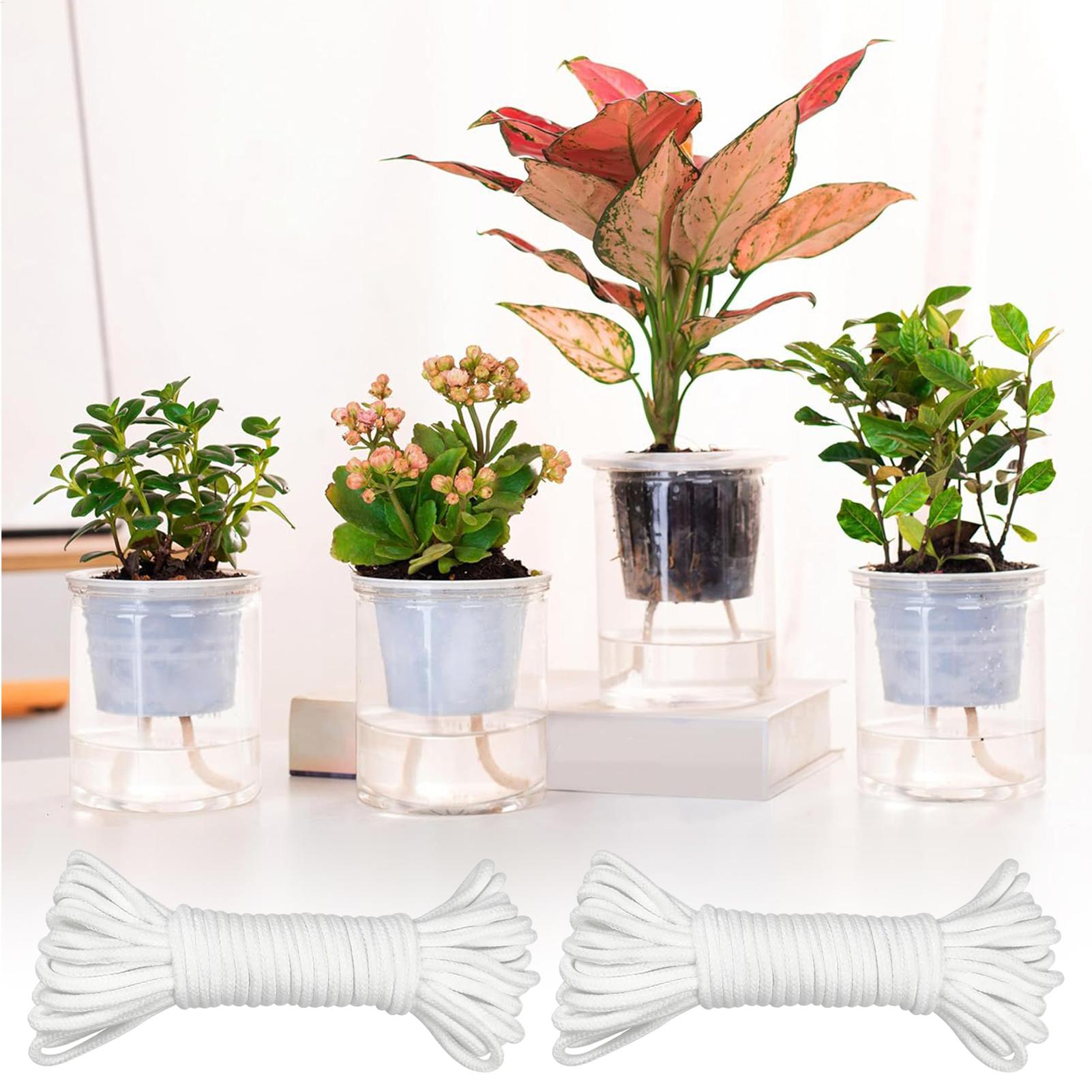 Plant Wicks For Self Watering  - Automatic Plant Waterer review and price