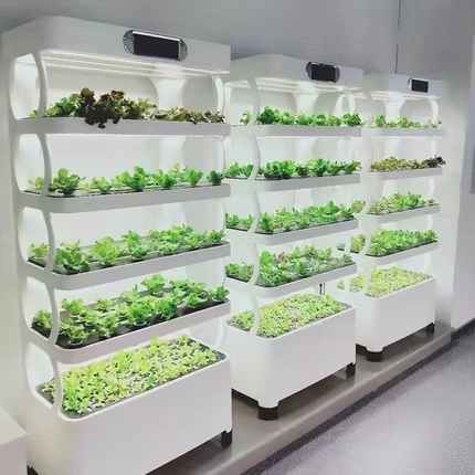 Mini Hydroponic Growing System - Greenhouse Mini Indoor review and price