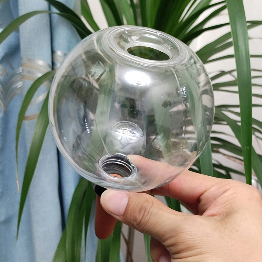 500ML Self Watering Globes Dri - Automatic Plant Waterer review and price