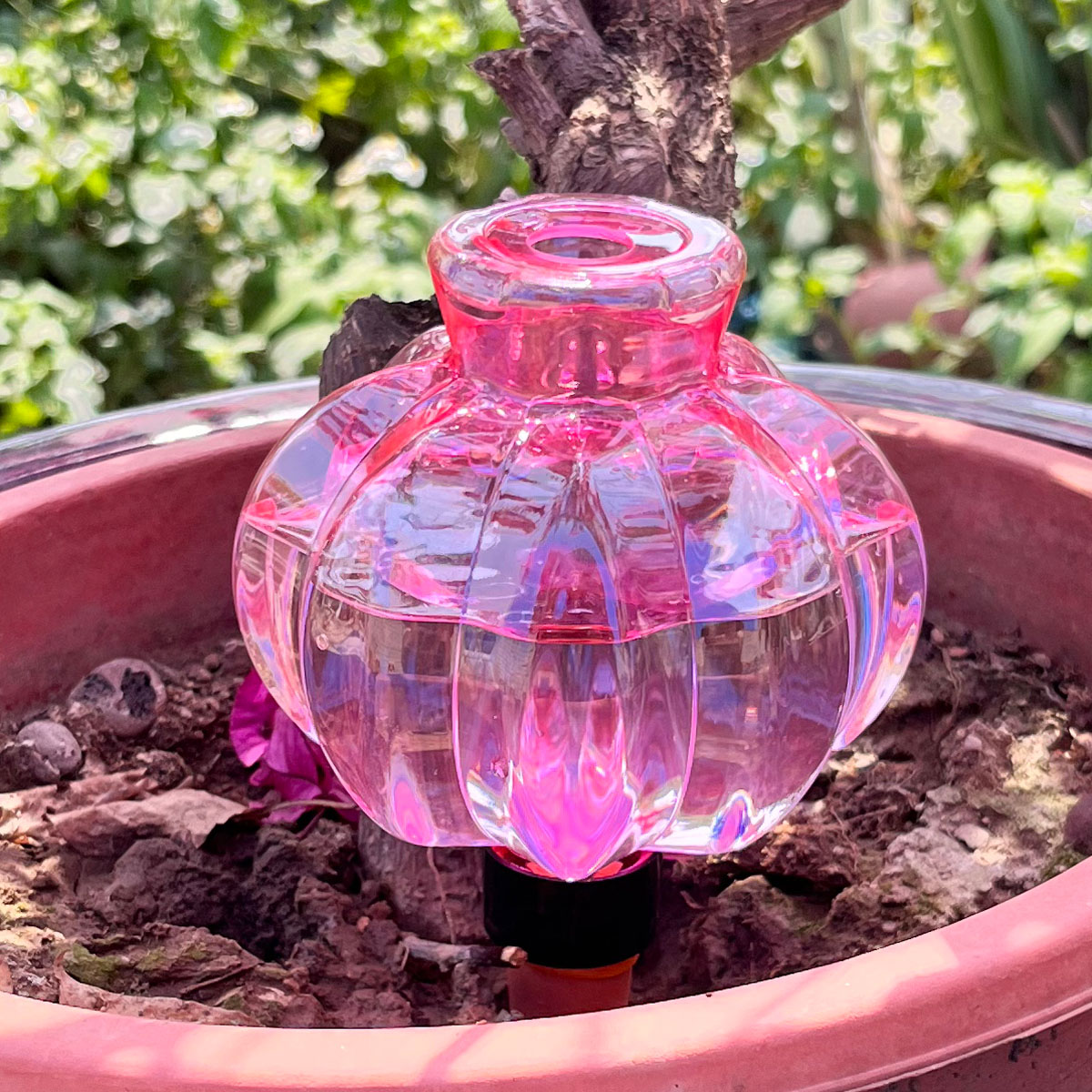 2pcs Self Watering Drip Irriga - Automatic Plant Waterer review and price