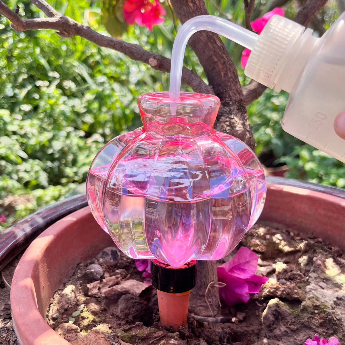 2pcs Self Watering Drip Irriga - Automatic Plant Waterer review and price
