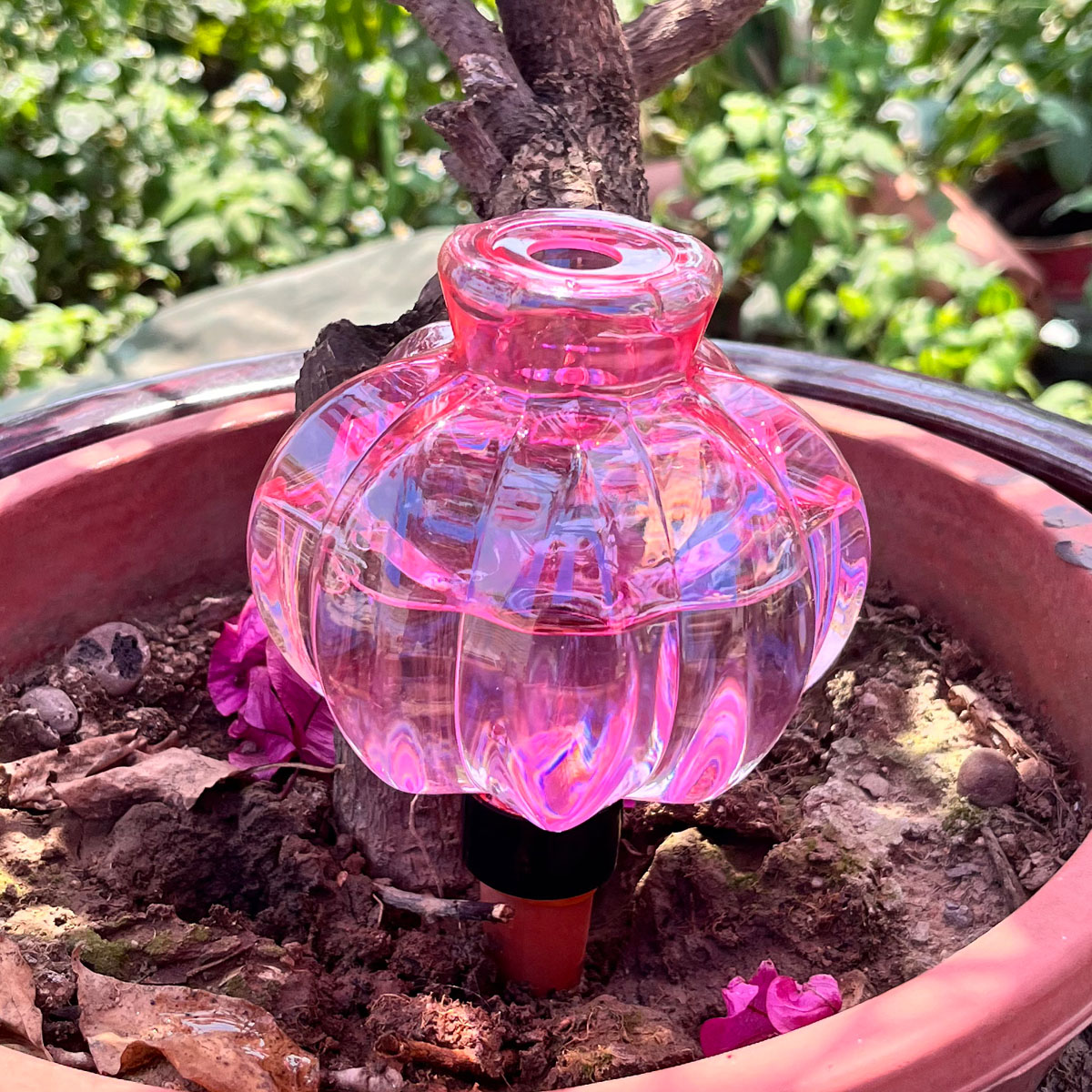 2pcs Self Watering Drip Irriga - Automatic Plant Waterer review and price