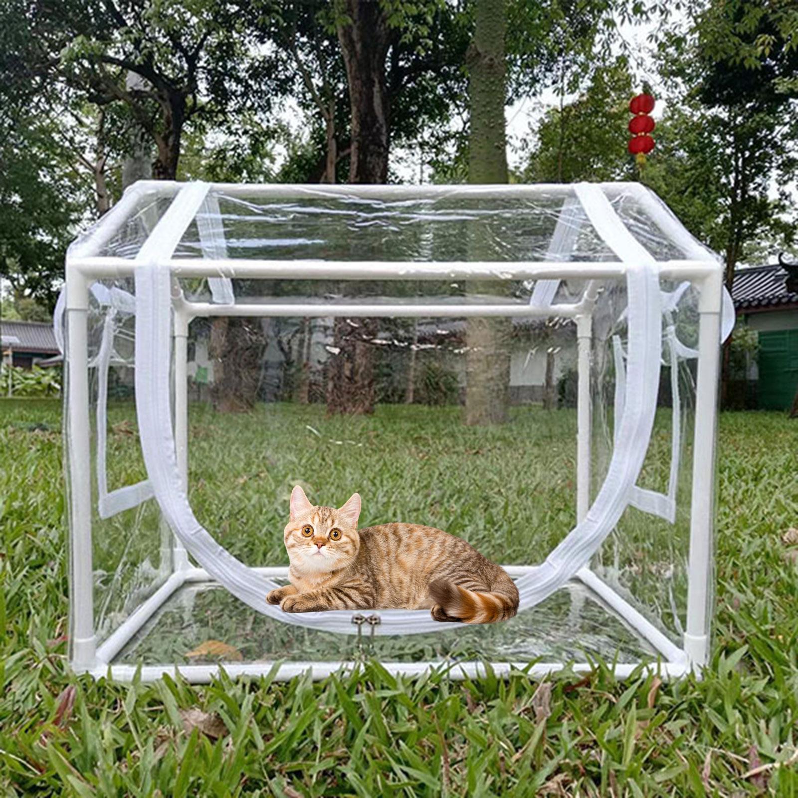 Small PVC Mini Greenhouse Cold - Greenhouse Mini Indoor review and price