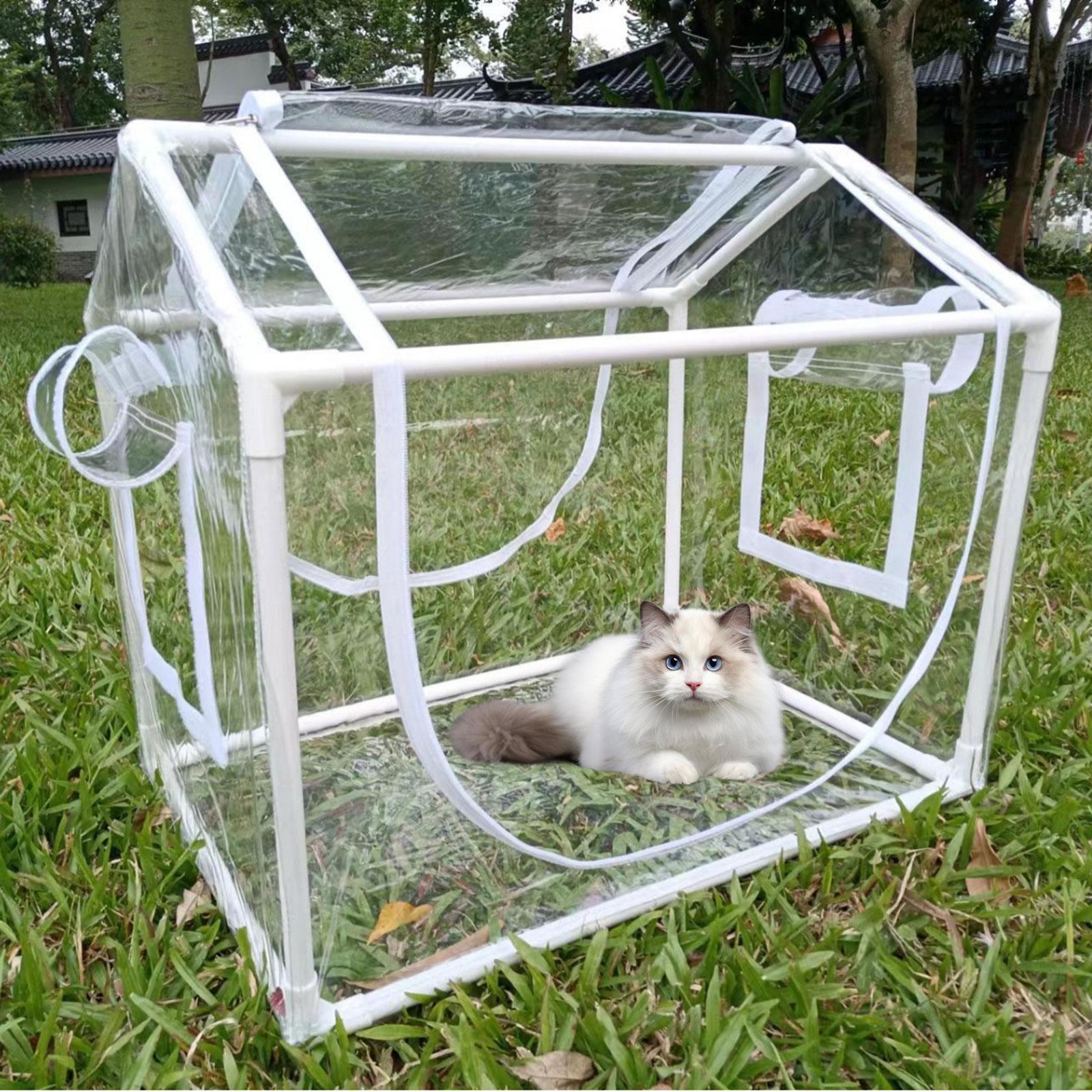 Small PVC Mini Greenhouse Cold - Greenhouse Mini Indoor review and price