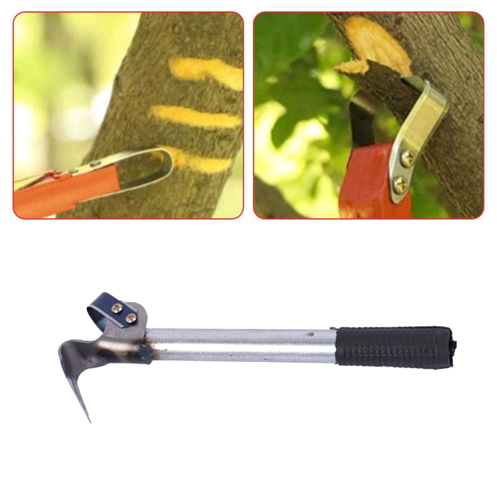 Barks Removal Tool Barks Compa - Gardening Tools Drawing review and price