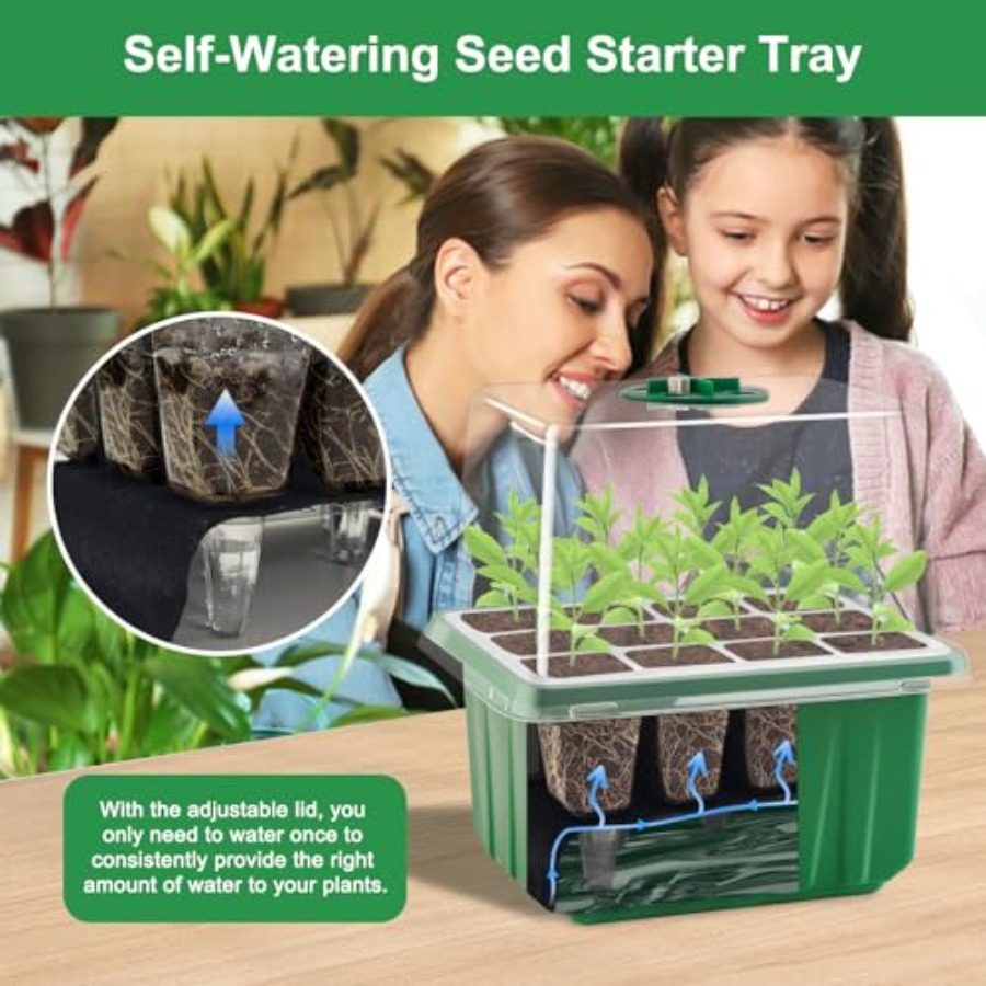 Seed Starter Tray with Light 6 - Greenhouse Mini Indoor review and price