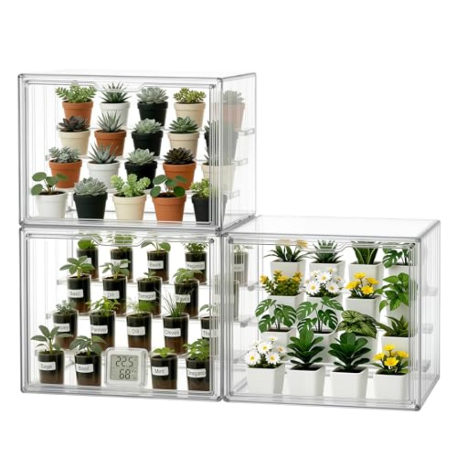 Indoor tabletop mini greenhous - Greenhouse Mini Indoor review and price