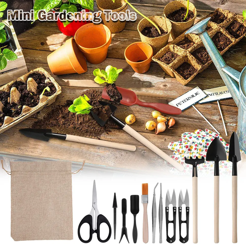 13PCS Succulent Plants Tool Se - Gardening Tools Kit For Home Garden review and price
