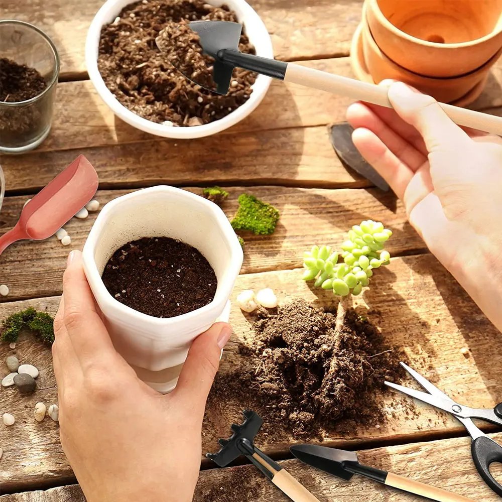 13PCS Succulent Plants Tool Se - Gardening Tools Kit For Home Garden review and price