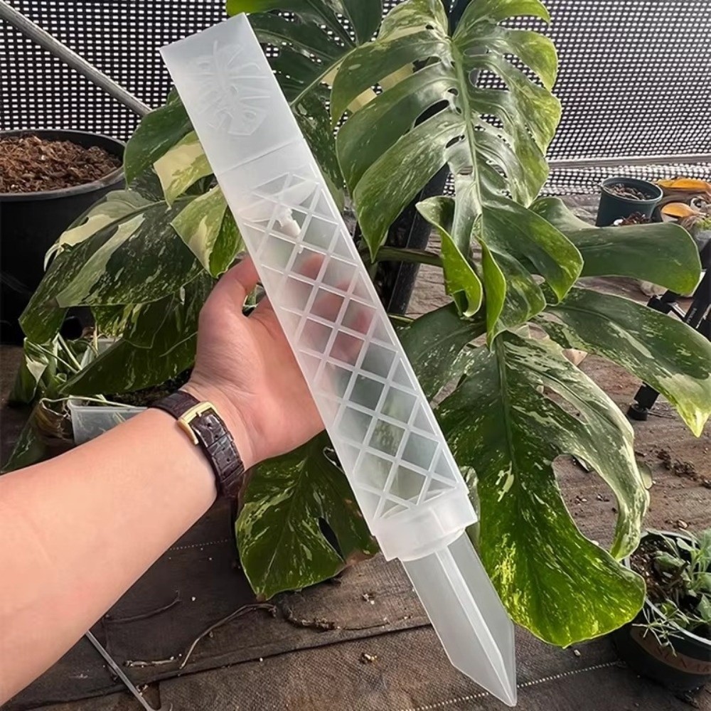D-Shaped Self-Watering Plant D - Automatic Plant Waterer review and price