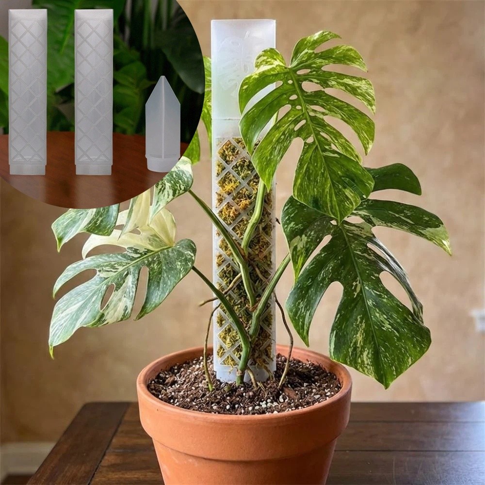 D-Shaped Self-Watering Plant D - Automatic Plant Waterer review and price