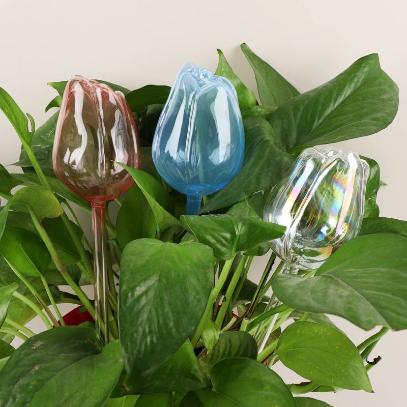1 pc Glass Plant Waterer, Auto - Automatic Plant Waterer review and price