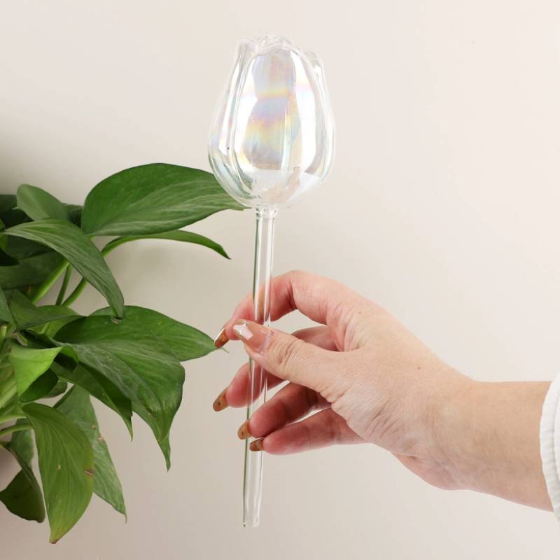 1 pc Glass Plant Waterer, Auto - Automatic Plant Waterer review and price