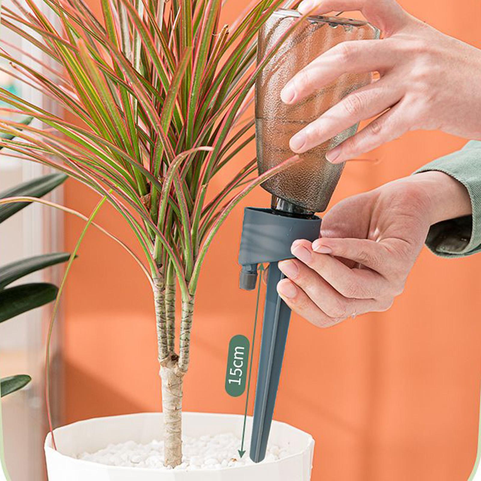 6pcs Automatic Waterer Househo - Automatic Plant Waterer review and price