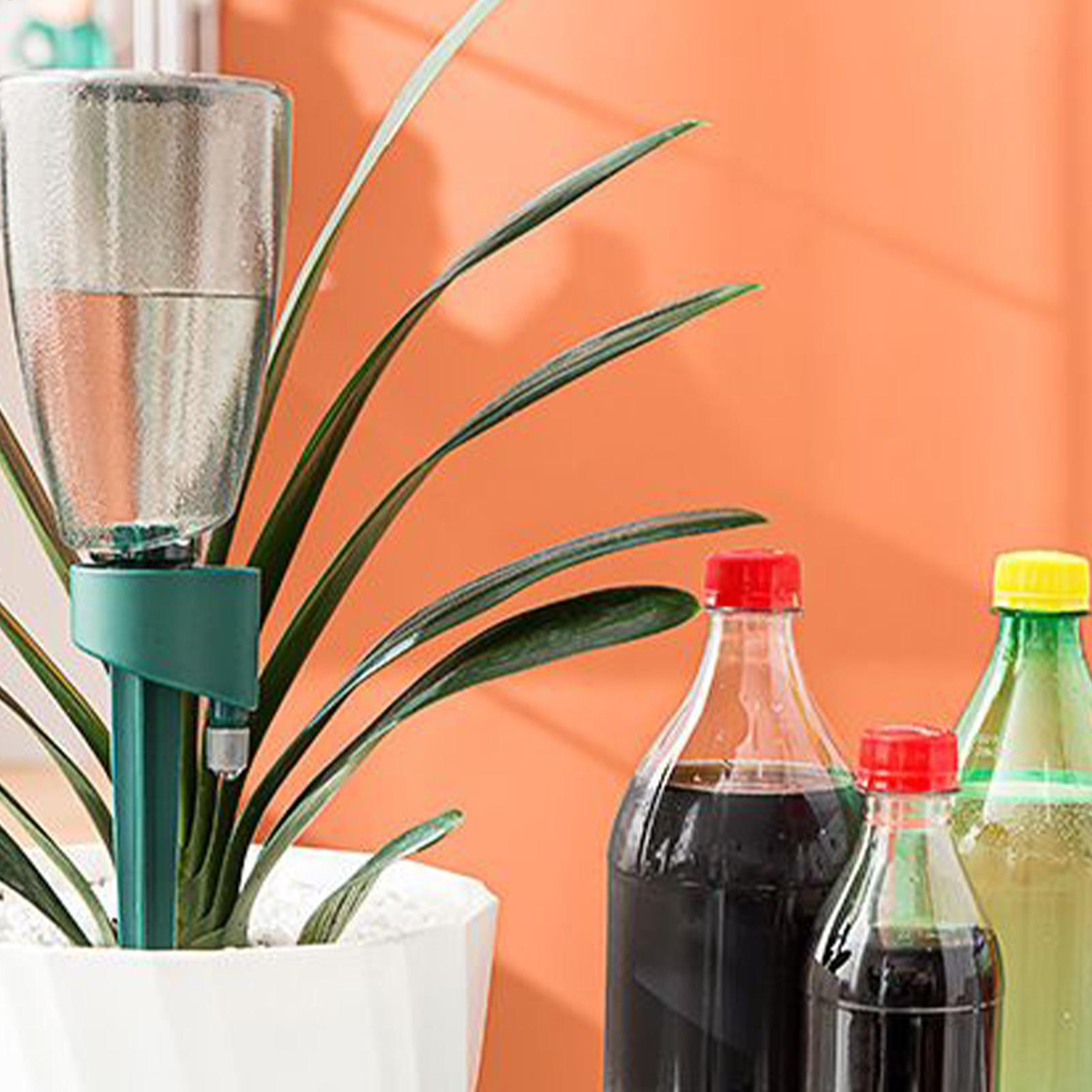 6pcs Automatic Waterer Househo - Automatic Plant Waterer review and price
