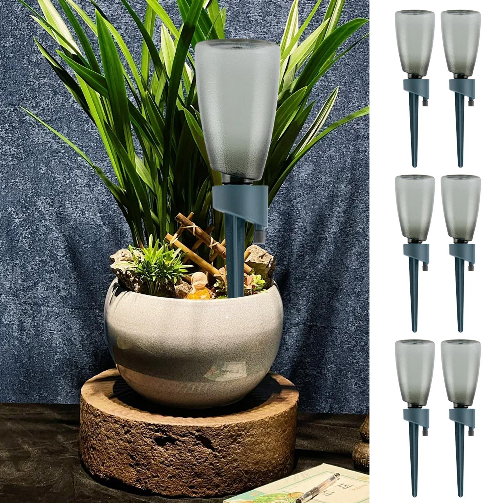 6pcs Automatic Waterer Househo - Automatic Plant Waterer review and price