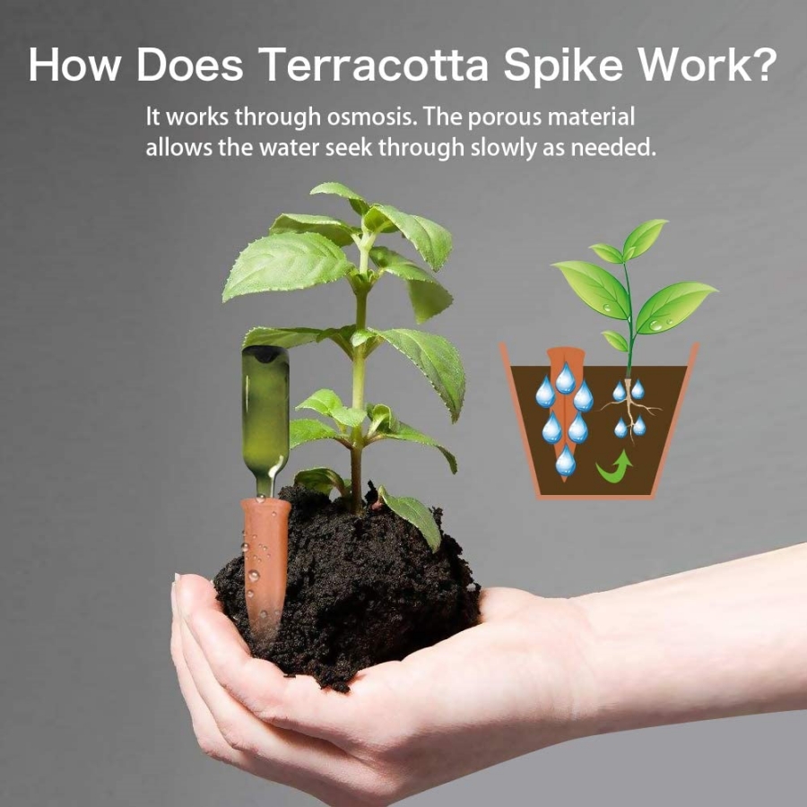 8 PCS Self Watering Terracotta - Gardening Tools Kit For Home Garden review and price