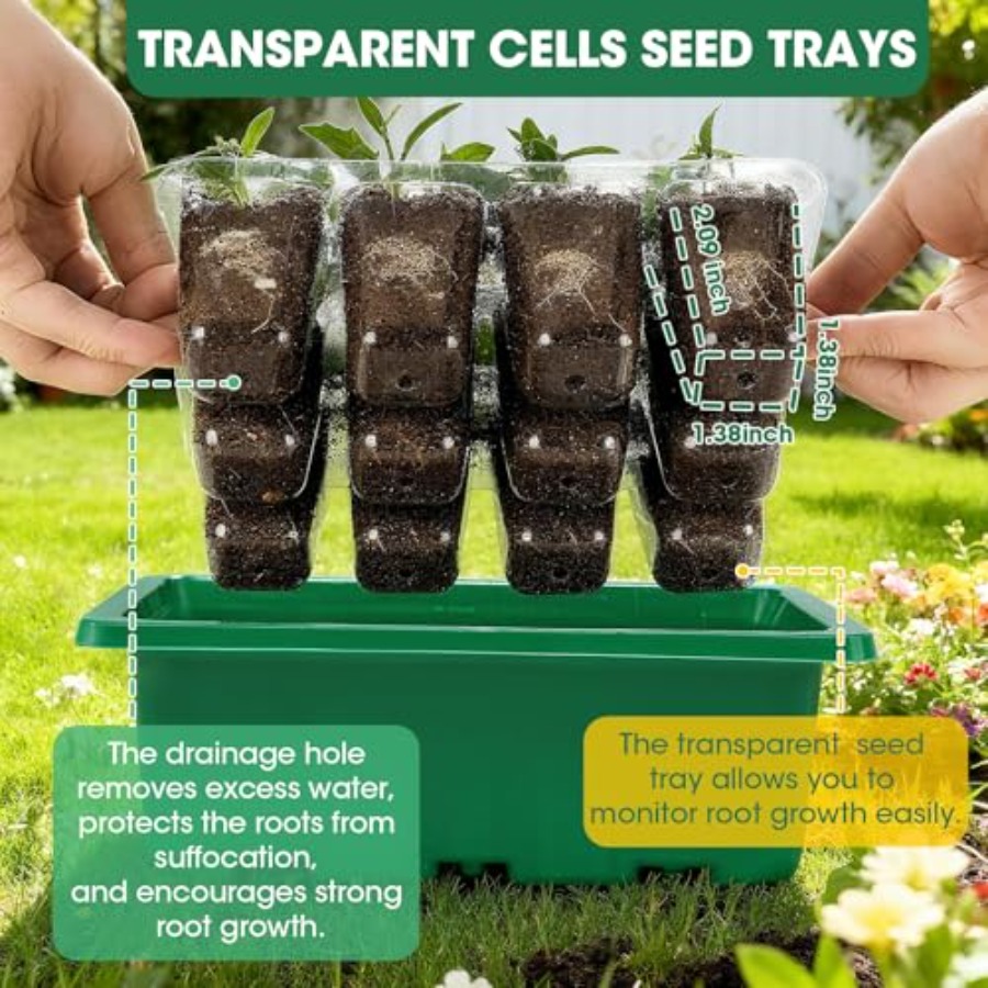 5 Packs Seed Starter Tray with - Greenhouse Mini Indoor review and price