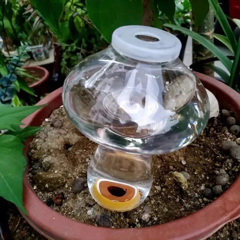 Automatic Plant Waterer Water  - Automatic Plant Waterer review and price