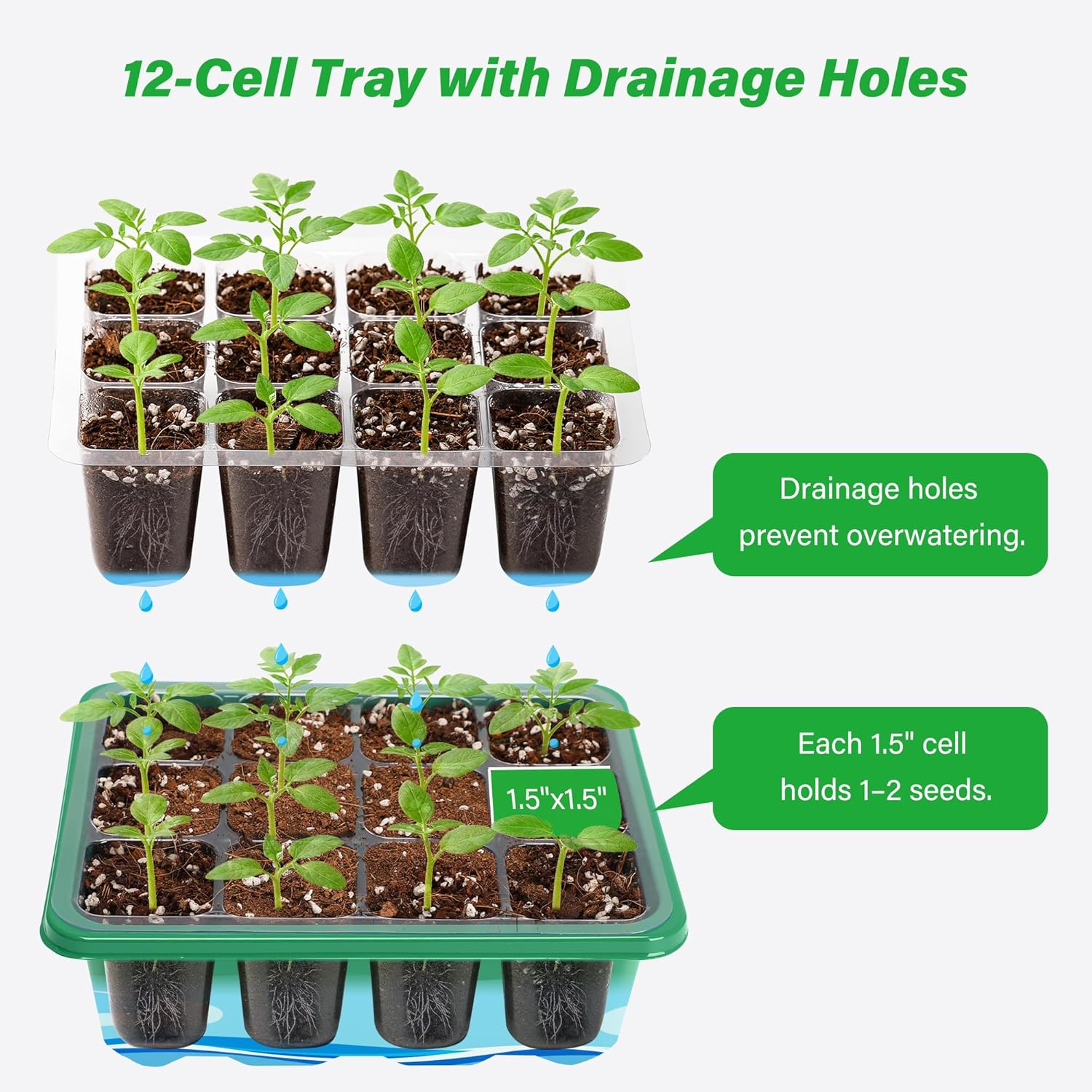 Growing Starting Nursery Trays - Greenhouse Mini Indoor review and price