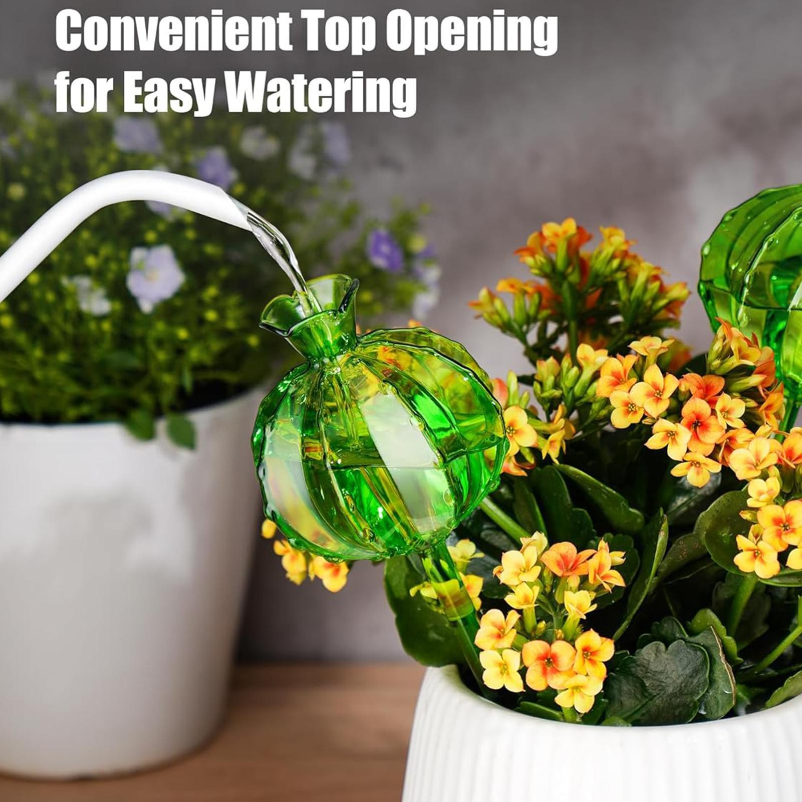 Plant Watering Globes Stakes 3 - Automatic Plant Waterer review and price